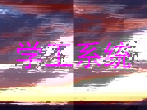 学工系统