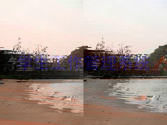 学生工作管理系统