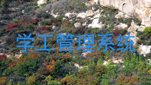 学工管理系统