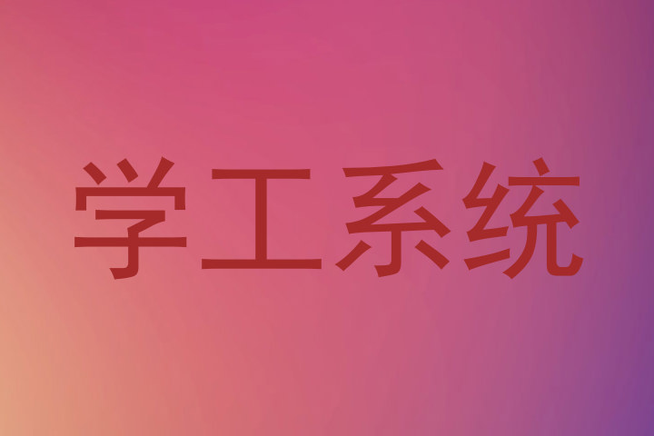 学工系统