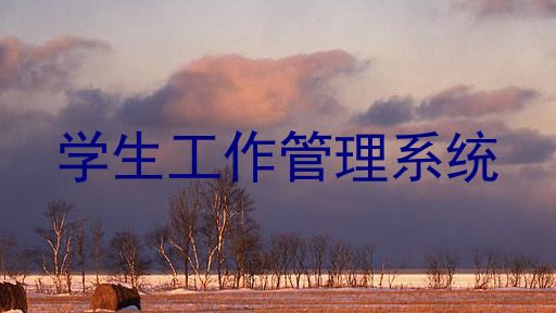 学生工作管理系统