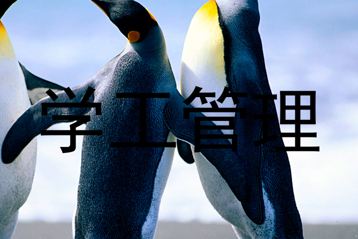 学工管理