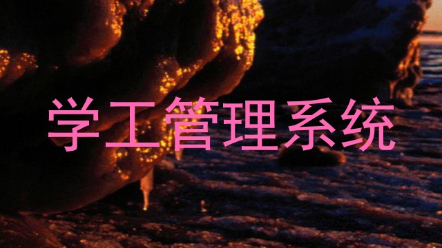 学工管理系统