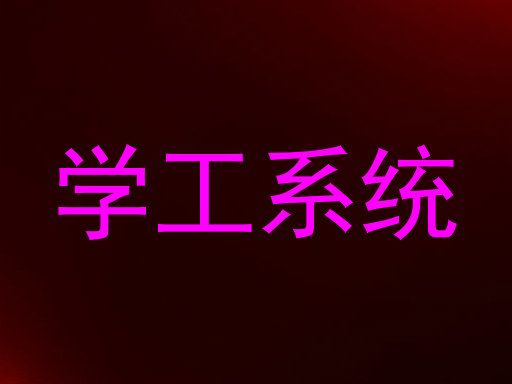 学工系统