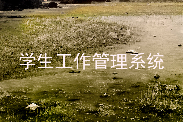 学生工作管理系统