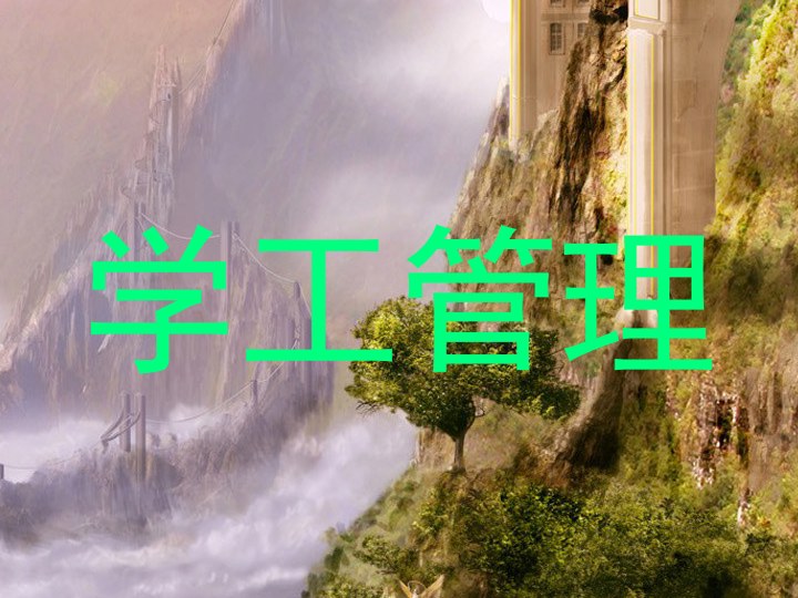 学工管理