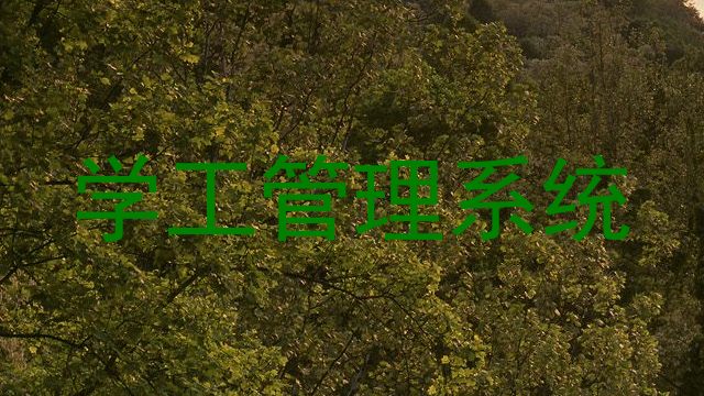 学工管理系统