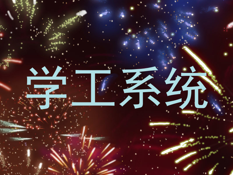 学工系统
