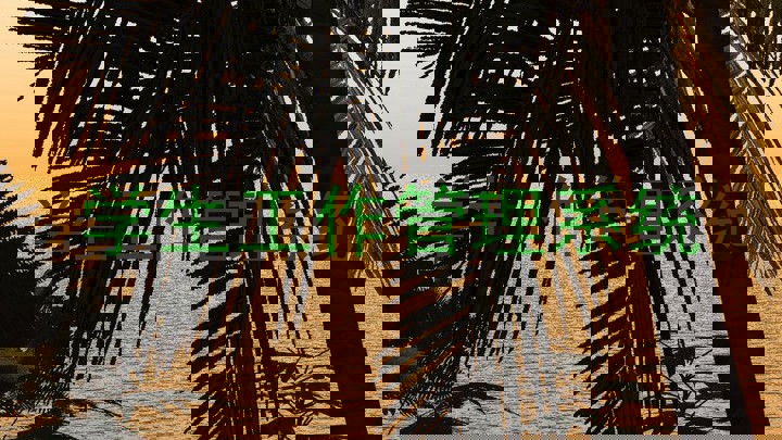 学生工作管理系统