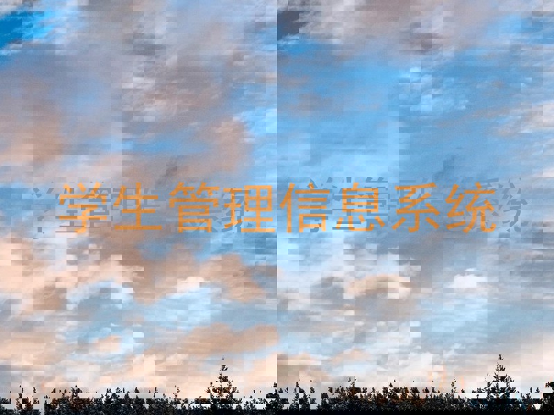 学生管理信息系统