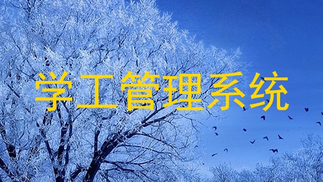 学工管理系统