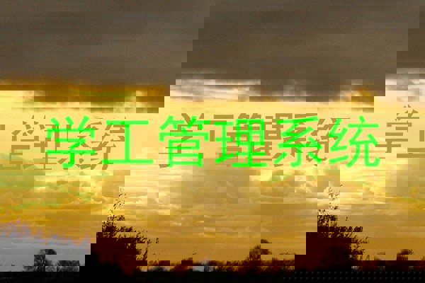 学工管理系统