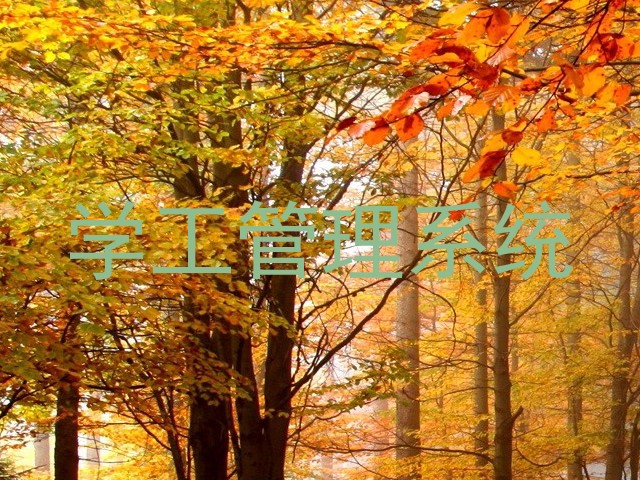 学工管理系统
