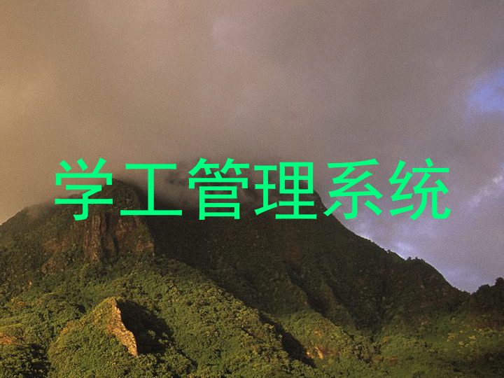 学工管理系统