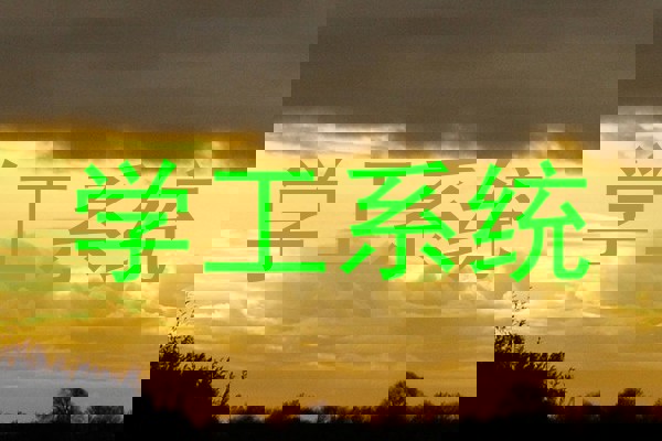 学工系统