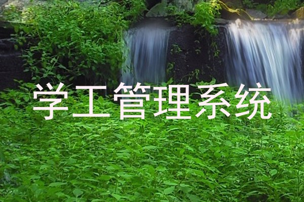 学工管理系统