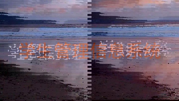 学生管理信息系统