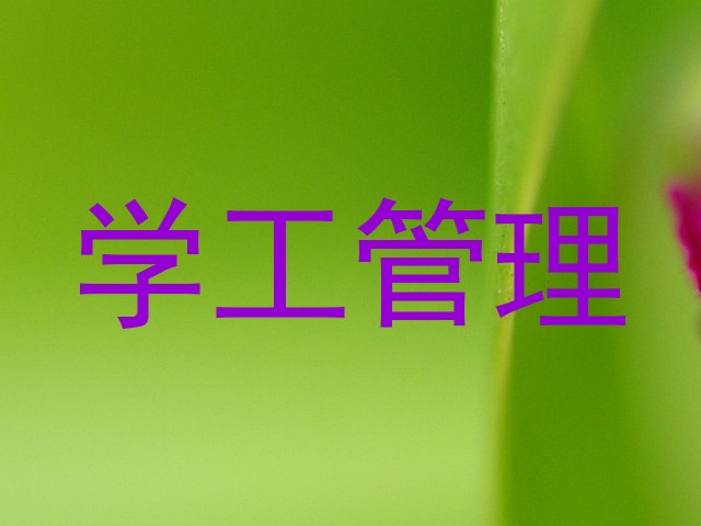 学工管理