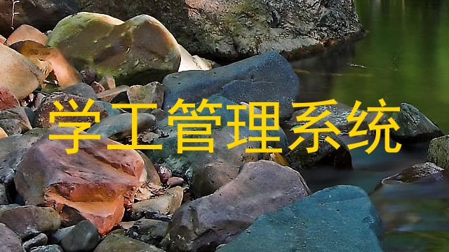 学工管理系统