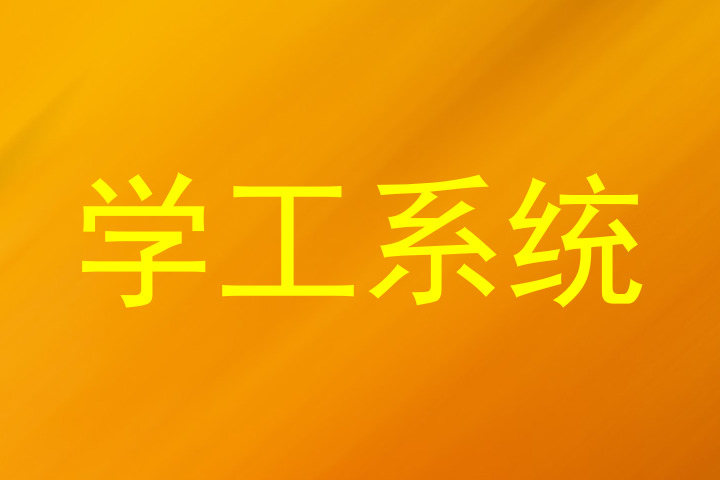 学工系统