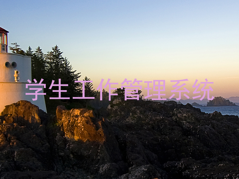 学生工作管理系统