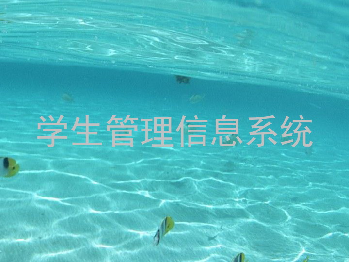 学生管理信息系统