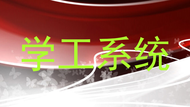 学工系统