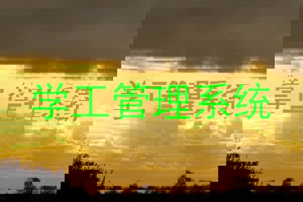 学工管理系统