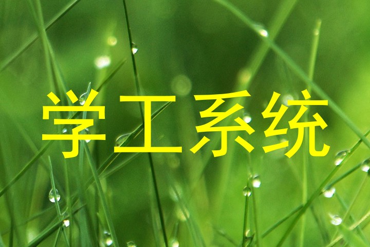 学工系统