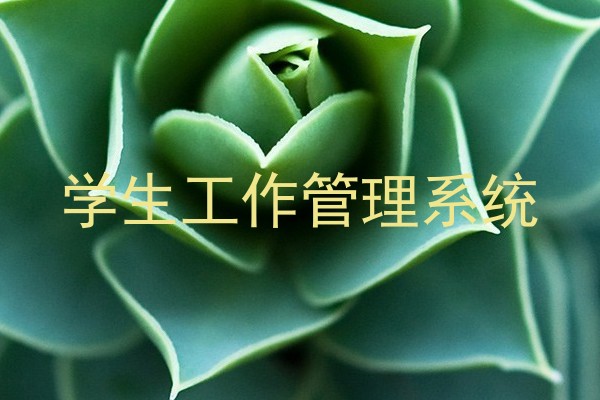 学生工作管理系统
