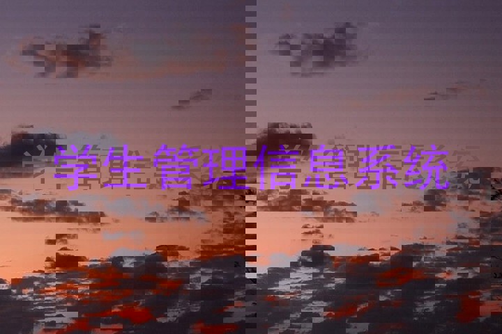 学生管理信息系统