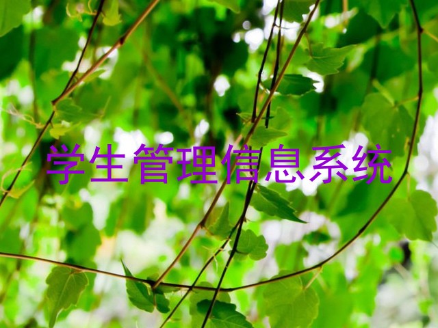 学生管理信息系统