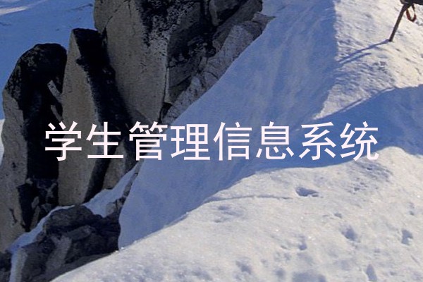 学生管理信息系统