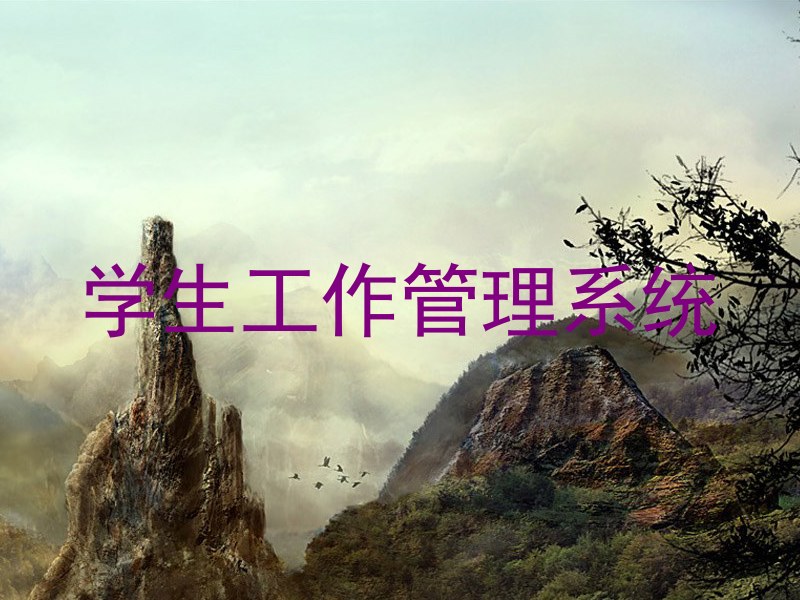 学生工作管理系统