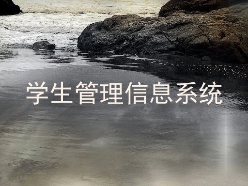 学生管理信息系统