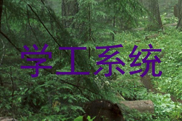 学工系统