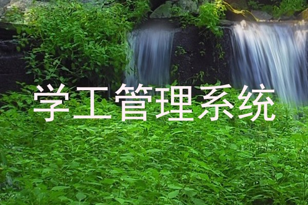 学工管理系统