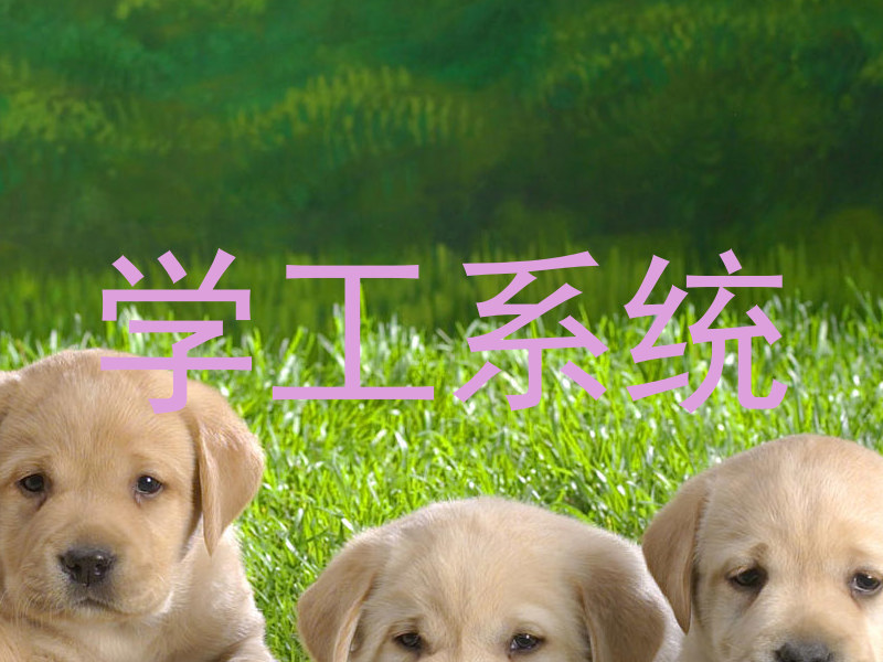 学工系统