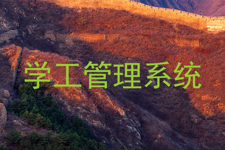 学工管理系统