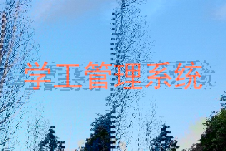 学工管理系统