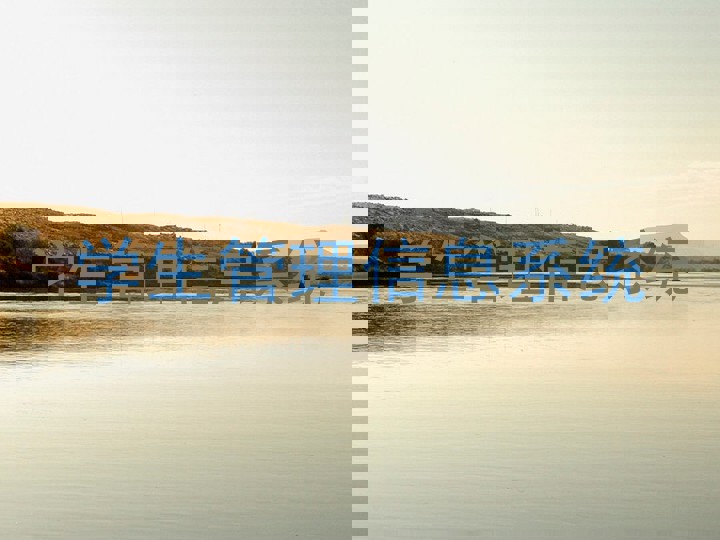 学生管理信息系统