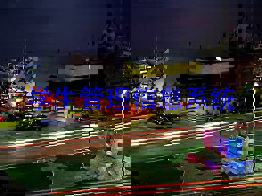 学生管理信息系统