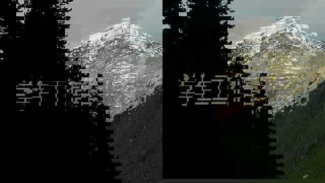 学生工作管理系统