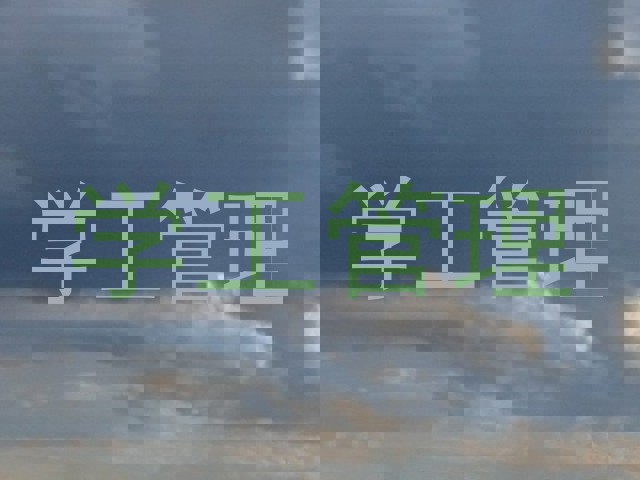 学工管理