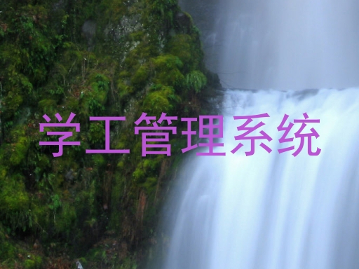 学工管理系统
