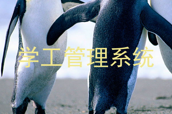 学工管理系统