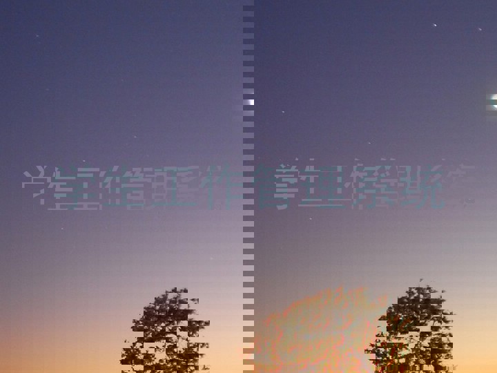 学生工作管理系统