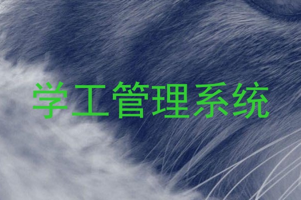 学工管理系统