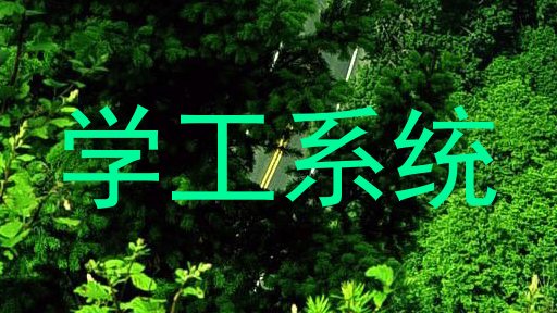 学工系统