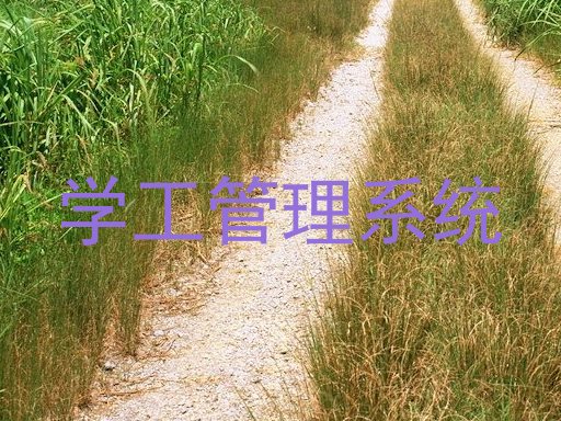 学工管理系统